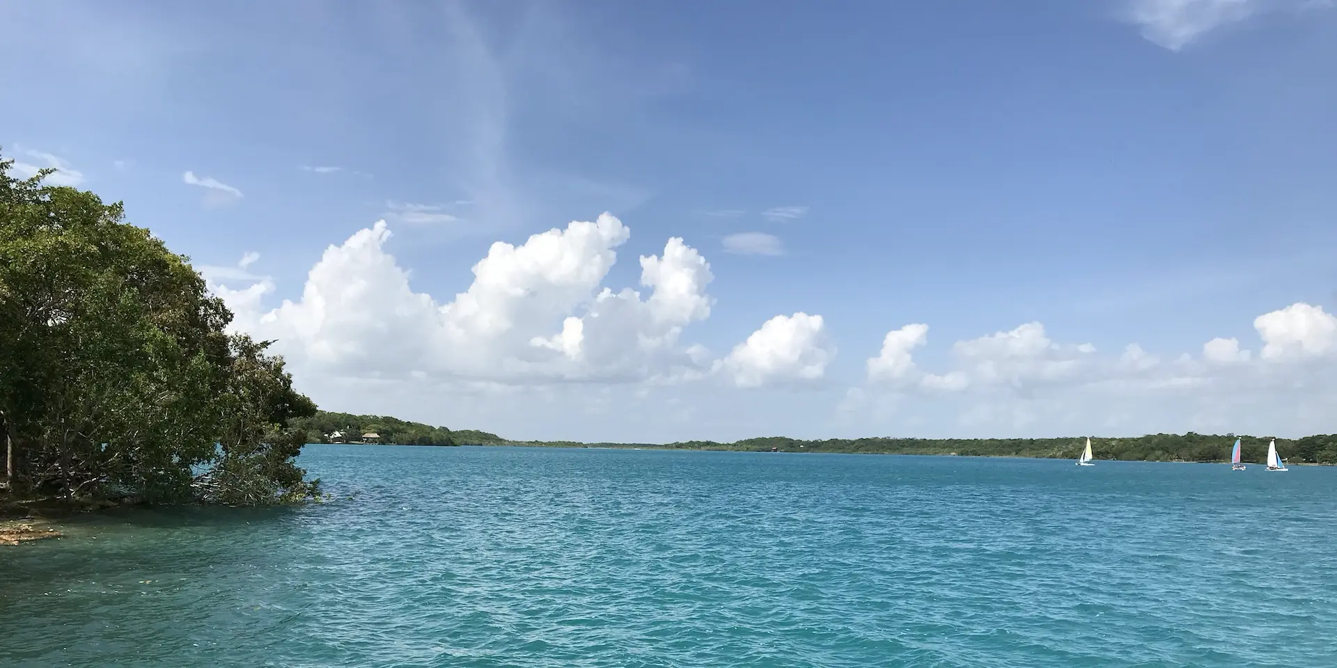 bacalar