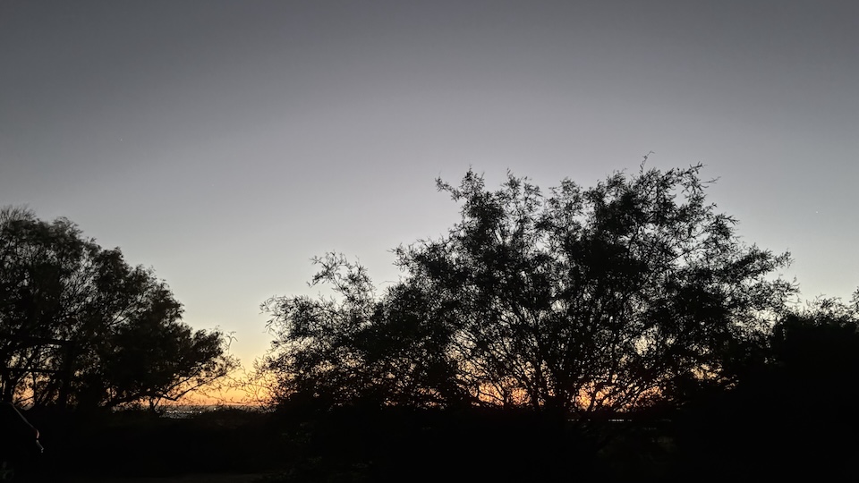 Evening photos made with iPhone are pretty good. I took this shot around 7PM.