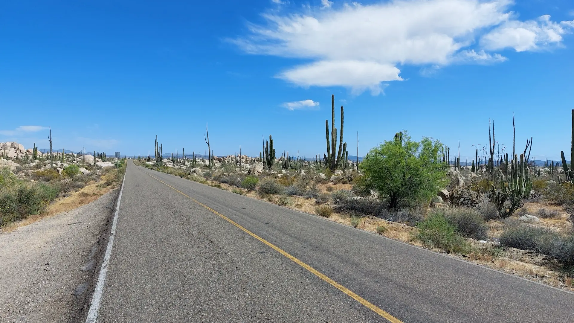 Deserted roads in Baja California In 2023 I headed north from Guererro Negro to Ensenada in Baja California and rode on one of the most lonely roads I'd ever been on.