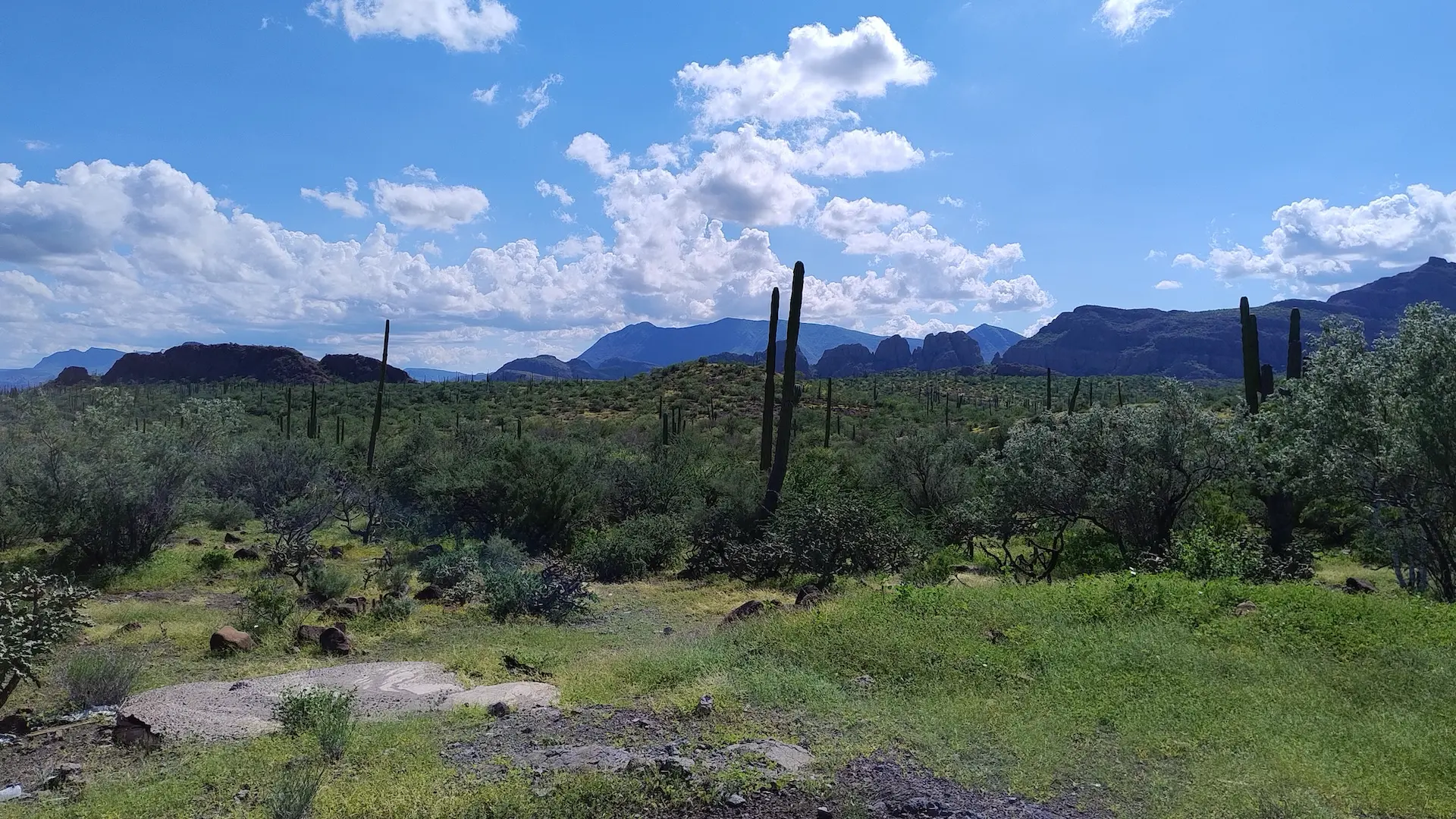 It seems ages ago that I crossed this wilderness on my motorcycle. Yet it's only been a few months.